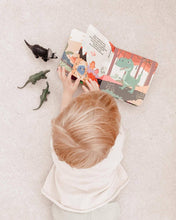 Load image into Gallery viewer, Ditty Bird Baby Sound Book Dino Lovers: Dinosaur Sounds - Pikabo Baby