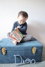 Load image into Gallery viewer, Ditty Bird Baby Sound Book Dino Lovers: Dinosaur Sounds - Pikabo Baby