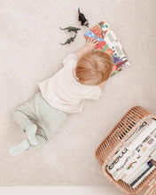 Load image into Gallery viewer, Ditty Bird Baby Sound Book Dino Lovers: Dinosaur Sounds - Pikabo Baby