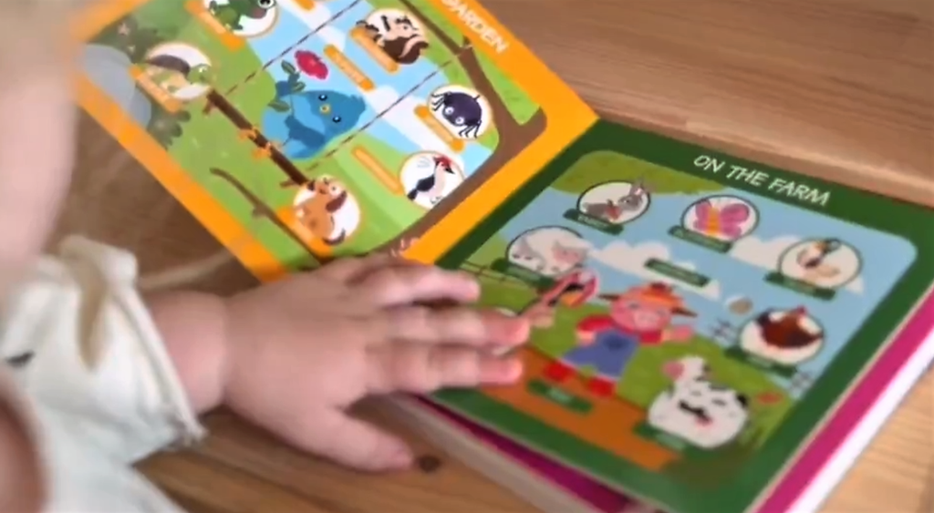 First 100 Words | Ditty Bird Baby book-Award Family Choice - Pikabo Baby