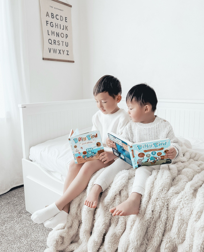 New | Color Songs | Ditty Bird Sound Book - Pikabo Baby