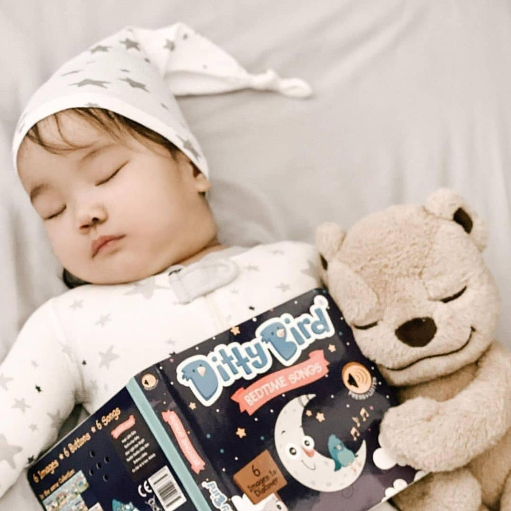 Ditty Bird | Bedtime Songs - Storytime - Baby Sound Book - Pikabo Baby