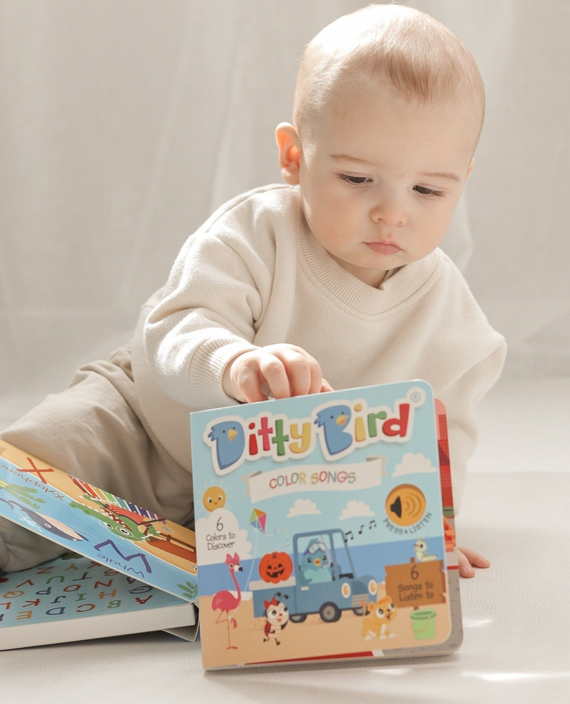 New | Color Songs | Ditty Bird Sound Book - Pikabo Baby