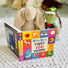 Load image into Gallery viewer, First 100 Words | Ditty Bird Baby book-Award Family Choice - Pikabo Baby